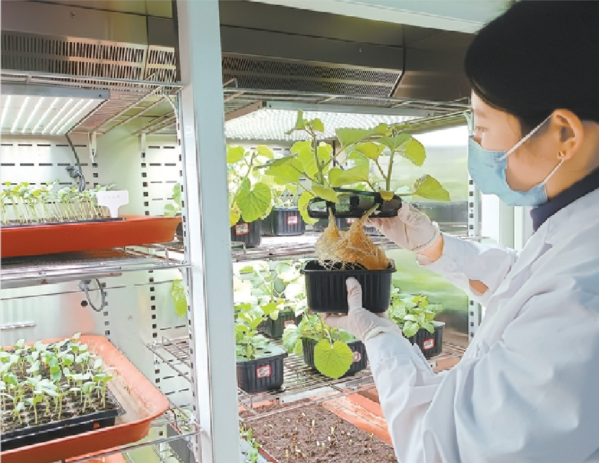 系统医学与优质农业
