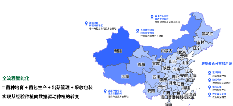 蘑菇行情